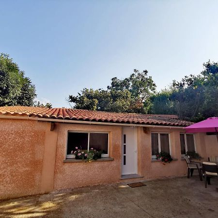 Maison De Village Proche Commodites Murato Εξωτερικό φωτογραφία
